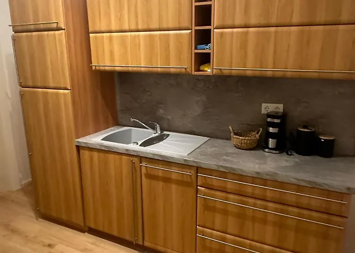 公寓 Cheema 美因河畔法兰克福